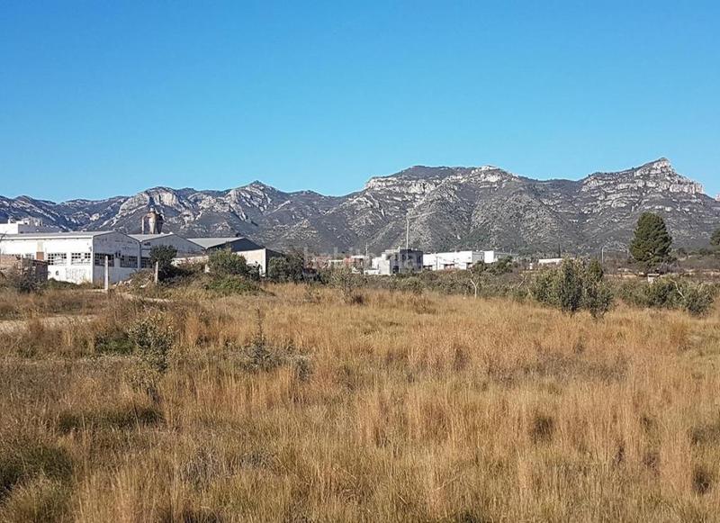 Foto 6406fe84-0928-4167-9638-fd06eb82bb22. Fondo rustico in Sénia (La)