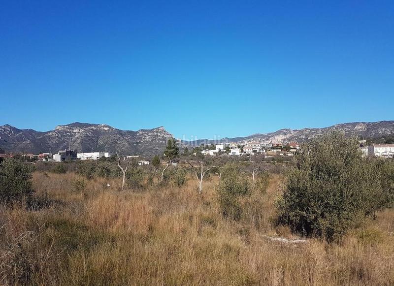 Foto a24ee9ab-4a7f-492d-8777-b6660afccff9. Fondo rustico in Sénia (La)