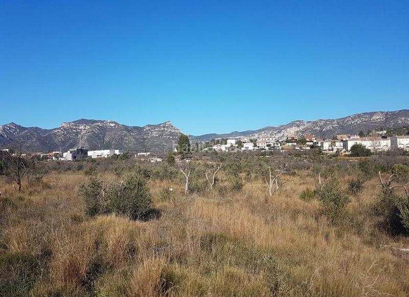 Foto a5f2ad10-7ca3-4cdb-bfe1-df8ec5bd1cb2. Fondo rustico in Sénia (La)