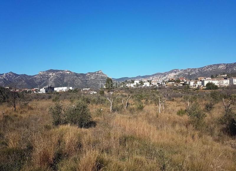 Foto fdec2fad-50c3-4710-95c1-695dbe3e6f20. Fondo rustico in Sénia (La)