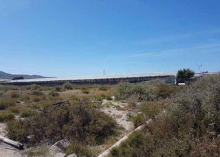 Propriété  Paraje cortijo el sargento. Solvia inmobiliaria  suelo rústico níjar