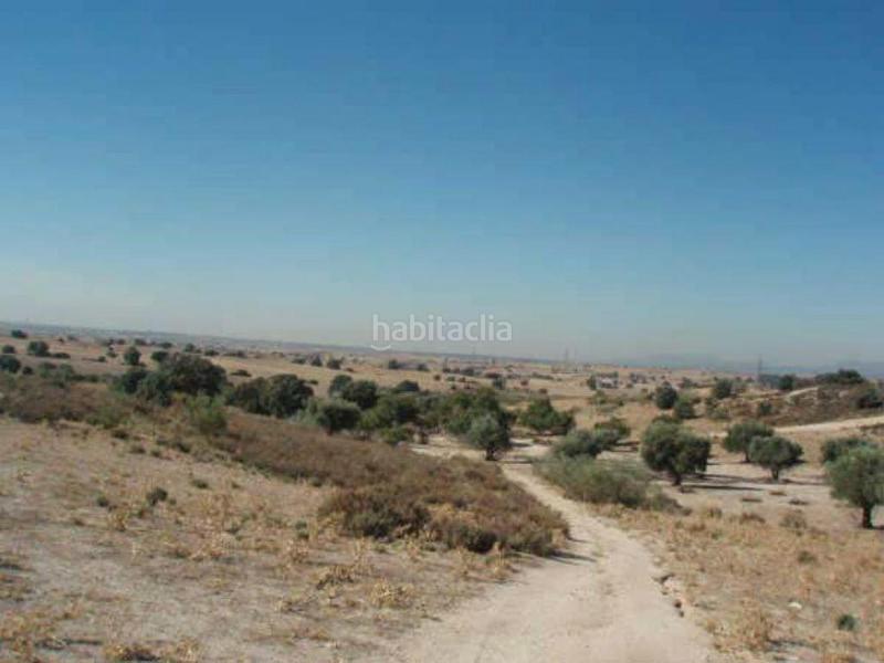 Foto 053c3a4e-3684-40b9-b2c0-20fb49a0d244. Fondo rustico in Sevilla la Nueva