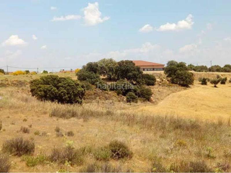 Foto 16686995-c9da-4cad-9c5a-d0cd11867f92. Fondo rustico in Sevilla la Nueva