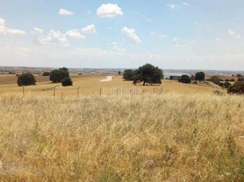 Foto 218d261c-eae9-4ed9-815b-7becf01a0fe7. Fondo rustico in Sevilla la Nueva