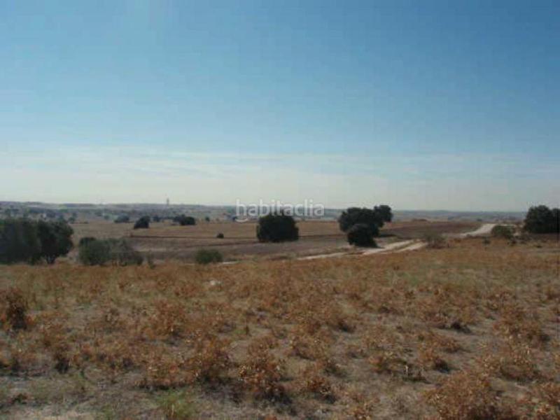 Foto 26551c9e-09a3-4bac-85c4-09e7c7521bcb. Fondo rustico in Sevilla la Nueva