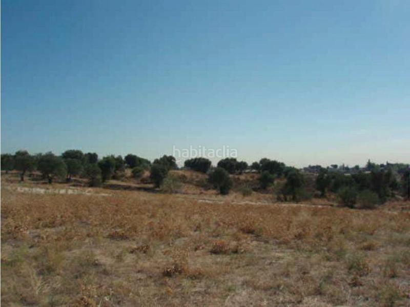 Foto 80ee77b7-b241-416b-856d-55738237ef10. Fondo rustico in Sevilla la Nueva