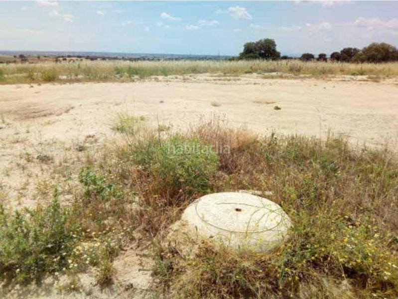 Foto a3ffb20b-aeb2-4306-ac2a-880460fd1469. Fondo rustico in Sevilla la Nueva