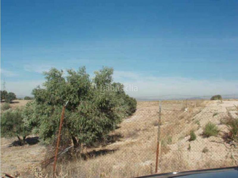 Foto c1a9c8c0-ba05-427f-b5f3-dae23f7ef7f9. Fondo rustico in Sevilla la Nueva