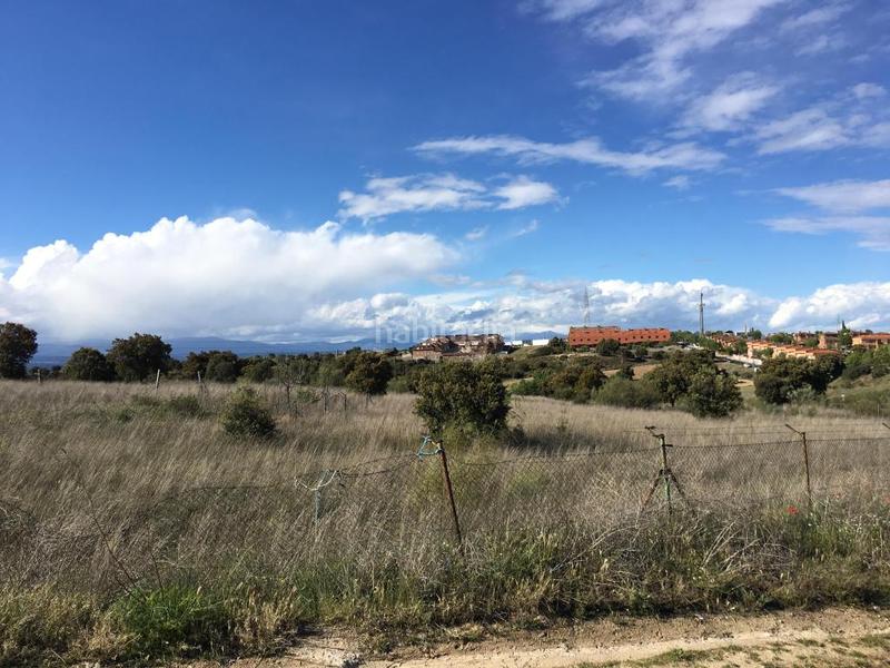 Foto c7d69128-5c33-4195-9444-4d3bebb6af41. Fondo rustico in Sevilla la Nueva