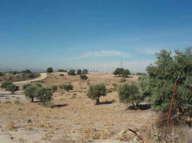 Foto d48b6c24-c604-4489-ad1a-fe9605c581fe. Fondo rustico in Sevilla la Nueva