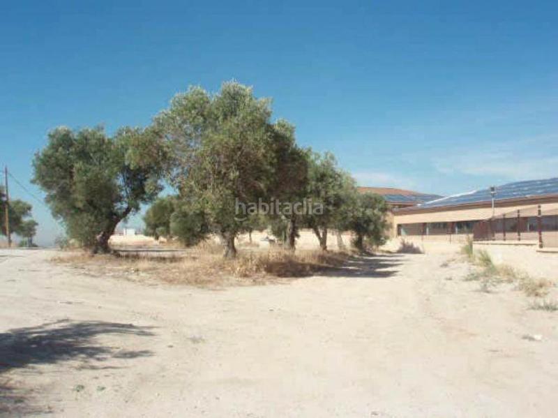 Foto e6ee3d1a-af0f-4aa7-998c-785307ac8fab. Fondo rustico in Sevilla la Nueva