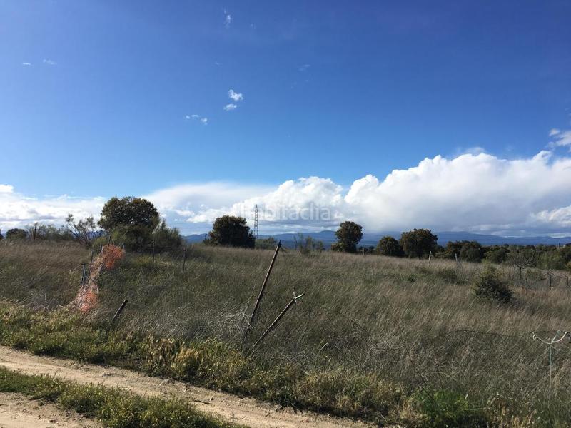 Foto e938133d-3dd1-43bf-b9f8-a32ec50bbc19. Fondo rustico in Sevilla la Nueva