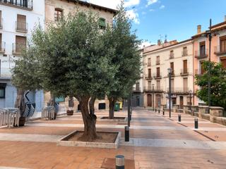 Pis  Caldereros. Solvia inmobiliaria  piso alcañiz