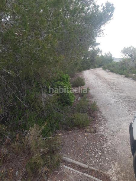 Foto 43d62ad6-357c-419e-9340-b2ebe1804616. Propriété dans Perelló (El)