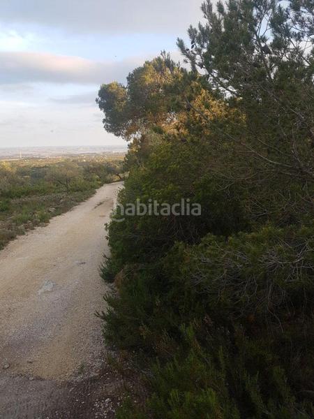 Foto 5c4b5df5-f97a-42b9-8285-d3f39e69aa97. Propriété dans Perelló (El)