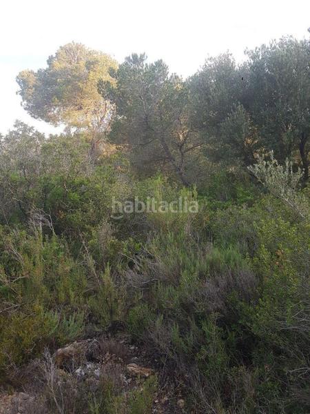 Foto 7eac1f38-f3cd-448c-a813-8cf3dd7ab5ed. Propriété dans Perelló (El)