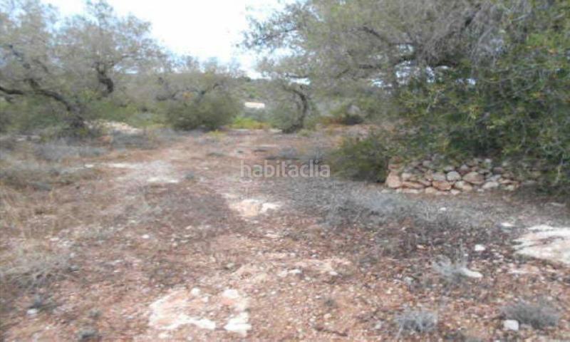 Foto 9bfd1751-08ba-4464-9c9f-9ec361e954a3. Propriété dans Perelló (El)