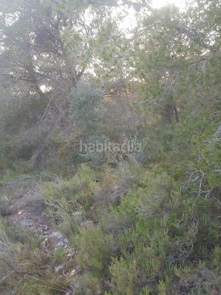 Foto d991e2fd-b594-4e7c-87b1-6adfb49c45ab. Propriété dans Perelló (El)