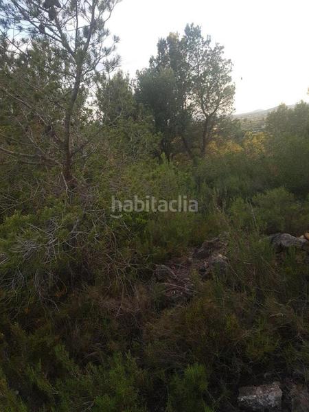 Foto e00c482f-886f-49eb-a2f2-ee178745c106. Propriété dans Perelló (El)