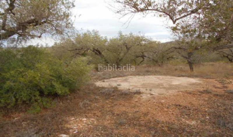 Foto e152a372-8e6b-42fe-8ea8-03b93d2253d6. Propriété dans Perelló (El)