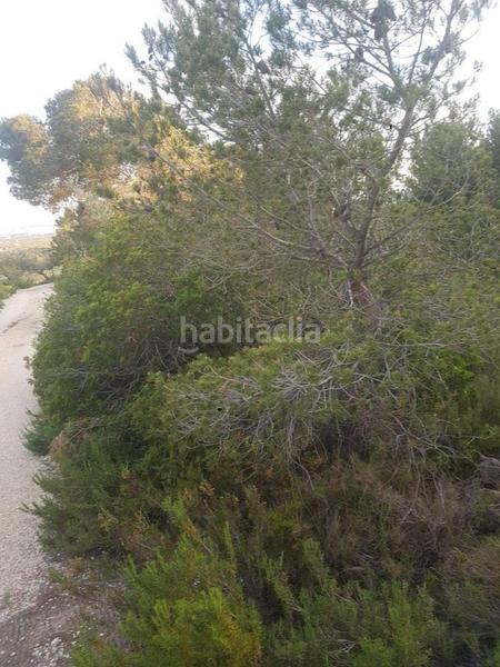 Foto f051d2dd-9465-4fa7-b349-ddc3ebfed7e1. Propriété dans Perelló (El)