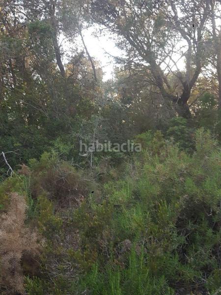 Foto fdff6a6b-6701-4e1c-8f3a-49e5e429f56f. Propriété dans Perelló (El)