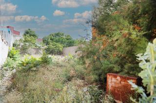 Rural plot  Nueva. Solvia inmobiliaria  suelo urbano murcia