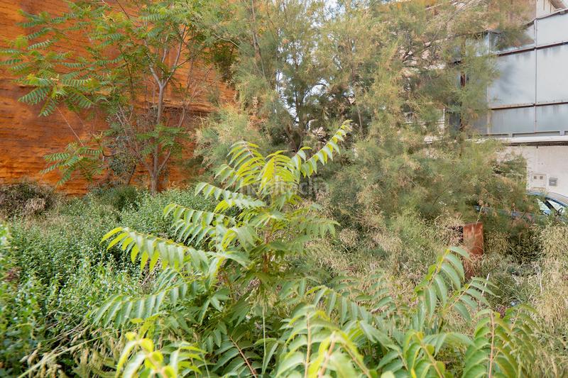 Foto ccd8af4c-332e-428d-ad4a-a16f4fb1efa2. Landgut in Torreagüera Murcia