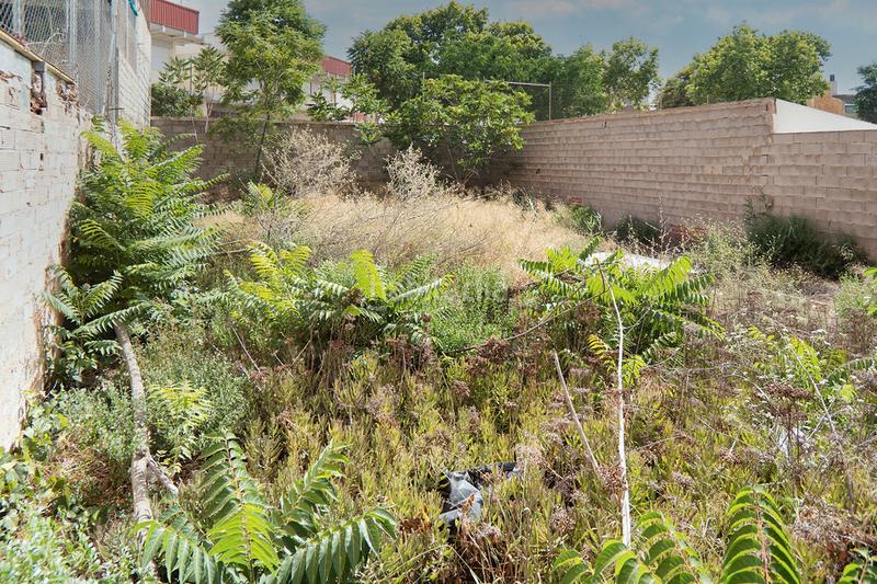 Foto d0bc6db6-fe62-4821-93a7-b98d2ef4cbca. Landgut in Torreagüera Murcia