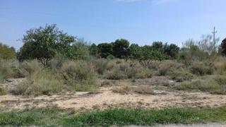 Fondo rustico  Cerdera alta. Solvia inmobiliaria  suelo urbanizable lleida
