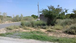 Fondo rustico  Cerdera alta. Solvia inmobiliaria  suelo urbanizable lleida
