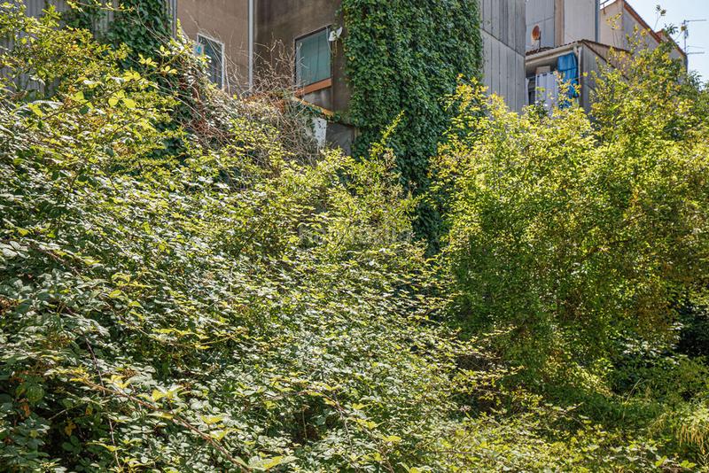 Foto 0ee07a04-b781-4161-8637-b1f8313c4d5c. Landgut in Santa Eugenia Girona