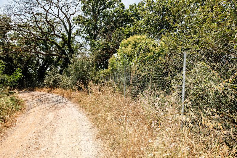 Foto 87f72fcd-42ed-4b76-b9d7-98d2661559fb. Finca rústica solvia inmobiliaria solares en Forallac