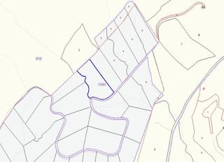 Fondo rustico  Palomarets (els). Solvia inmobiliaria  suelo rústico petrer