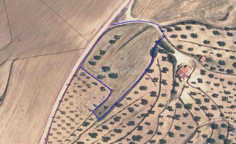 Foto d2f2f19a-3114-4bff-9bb5-8d6a9c362da6. Finca rústica solvia inmobiliaria suelo rústico en Alcorisa