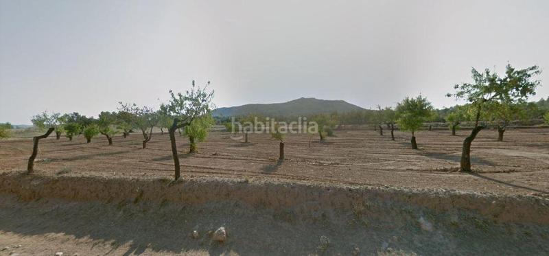 Foto fa64b957-ed4d-4811-820a-e8c9fa5b8ef7. Finca rústica solvia inmobiliaria suelo rústico en Alcorisa