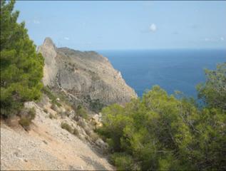 Fondo rustico  C/ gran bretaña. Solvia inmobiliaria  suelo urbanizable altea