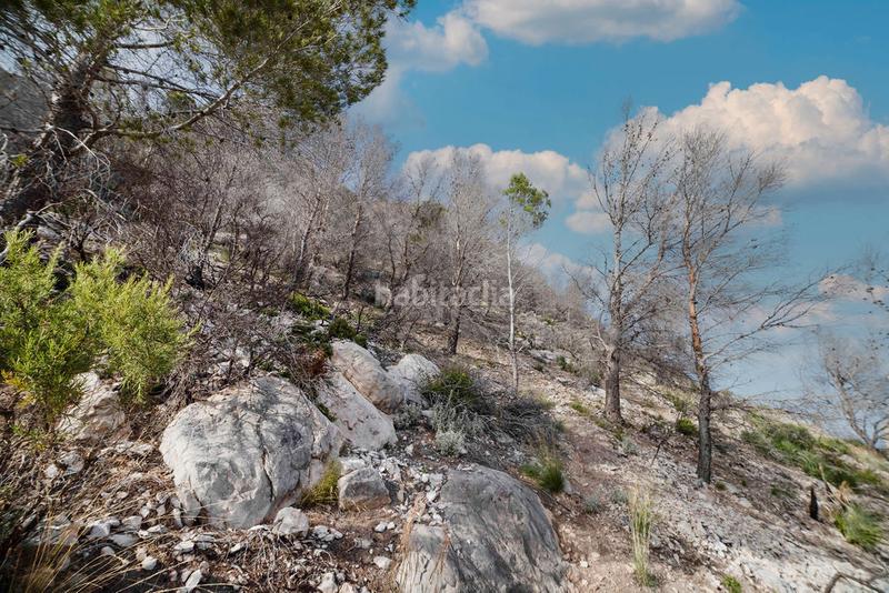 Foto a8374d82-5e8a-41d3-b0f5-872bdd85df75. Landgut in Altea hills Altea