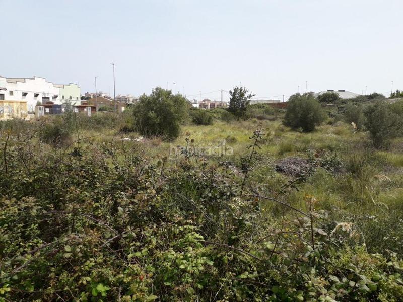 Foto e8b1c86b-1b08-40fd-afa6-5ac24ccb38d0. Fondo rustico in Bulevar del Xúquer Cullera