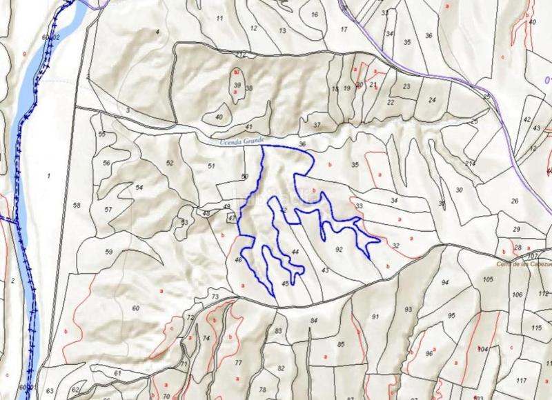 Foto 5364f224-d5d5-4990-b879-50a496fa8fd9. Finca rústica a Carranque