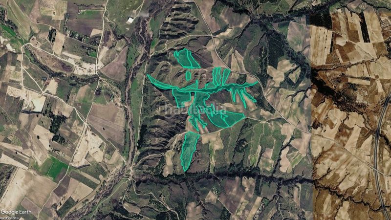 Foto 99cb950b-c4c2-450b-aa10-f9e2e6413f0f. Finca rústica a Carranque