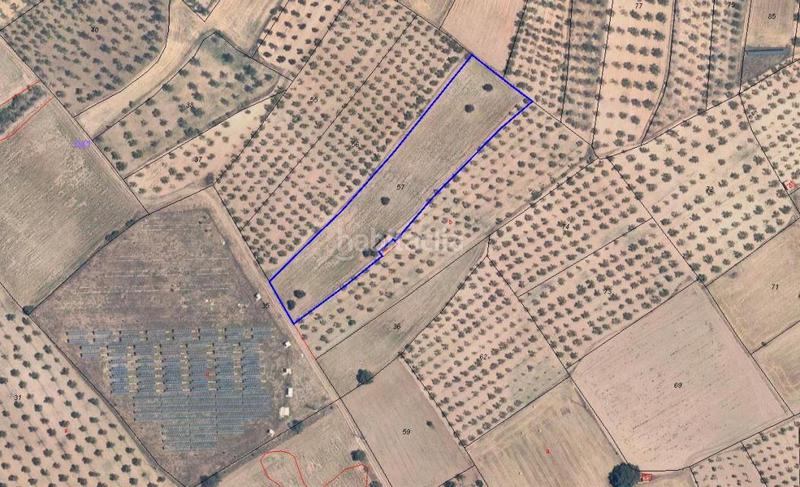 Foto 95991633-63ec-43e2-915d-7ab23633c97d. Finca rústica solvia inmobiliaria suelo rústico en Alcorisa
