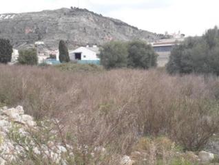 Landgut  C/ dels fusters. Solvia inmobiliaria  suelo urbano cullera