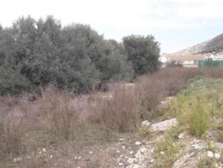 Finca rústica  Dels fusters. Solvia inmobiliaria  suelo urbano cullera