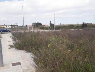 Finca rústica  Dels fusters. Solvia inmobiliaria  suelo urbano cullera