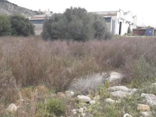 Finca rústica  C/ dels fusters. Solvia inmobiliaria  suelo urbano cullera