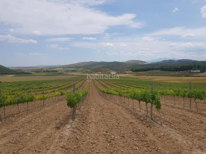 Foto 0ae946dd-2a3f-4c3e-a530-018b24687348. Finca rústica a Grávalos