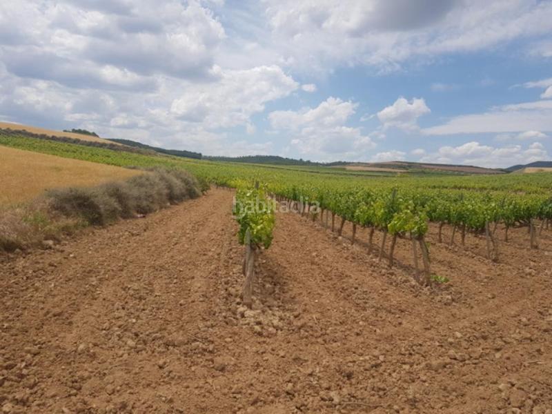 Foto 0cafa683-c571-425c-abd2-3dc0c2fb174a. Finca rústica a Grávalos