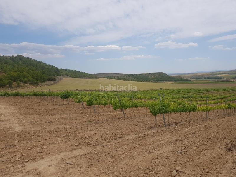 Foto 5ec686a4-123e-4381-988c-6fcd28203f1a. Finca rústica solvia inmobiliaria suelo rústico en Grávalos