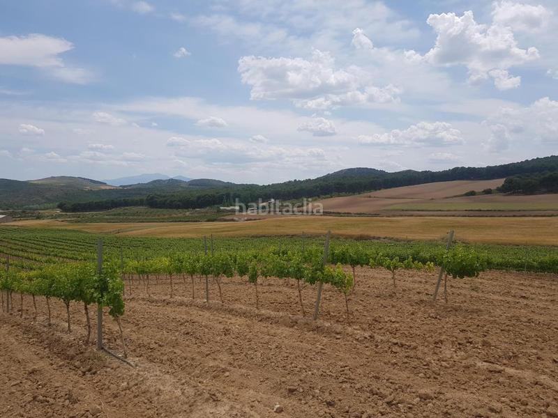 Foto adec123e-75e2-4712-9367-94938f17da12. Finca rústica solvia inmobiliaria suelo rústico en Grávalos